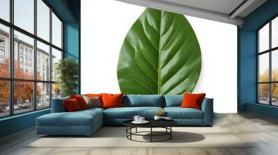 A large green leaf with prominent veins and a glossy surface Wall mural