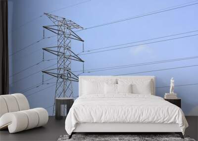 pylon with high voltage transmission line. Wall mural