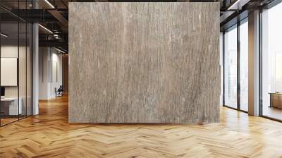 Wooden background, wood grain, close-up texture. Old plywood. Wall mural