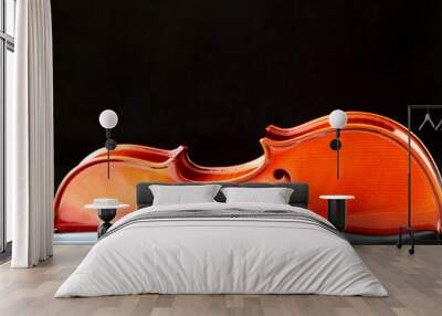 violin Wall mural