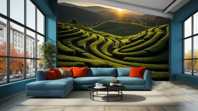 Picturesque summer day. vibrant tea plantation abstract background under the glowing sun Wall mural