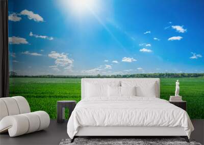 Countryside field with sunshine Wall mural