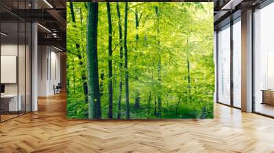 green forest panorama landscape Wall mural