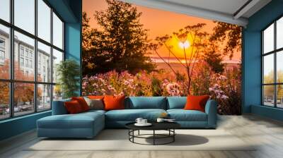 Sunrise over a meadow Wall mural