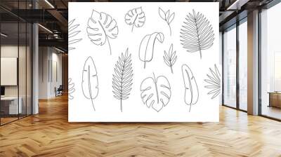 Outline tropic palm leaf set. One continuous line art tropic tree leaves. Editable stroke monstera, jungle foliage floral element. Isolated vector illustration Wall mural