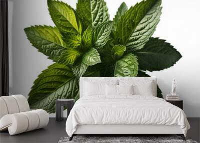 Leaf plant herbs mint. set of mint leaves, fresh mint isolated on transparent background. Wall mural