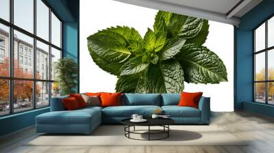 Leaf plant herbs mint. set of mint leaves, fresh mint isolated on transparent background. Wall mural