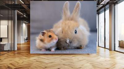 hamster and rabbit sitting side by side, animal friendship concept Wall mural