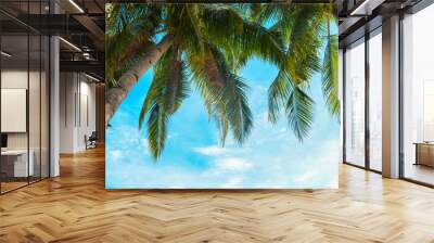 coconut tree on a blue sky Wall mural