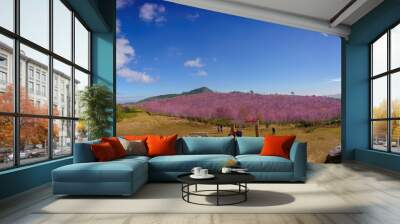 Beautiful panorama of Phu Lom Lo mountains is famous place and travel destination of Wild Himalayan, Cherry pink blossom Sakura flower or Prunus cerasoides Wall mural