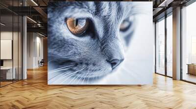 A close-up portrait of a Thai Lilac cat with its soft fur and captivating gaze, set against a minimalistic light background Wall mural