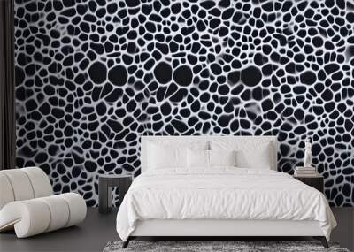 Black and White Abstract Pattern Wall mural