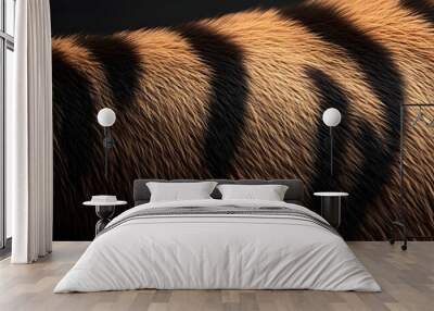 Tiger Fur Texture Wall mural