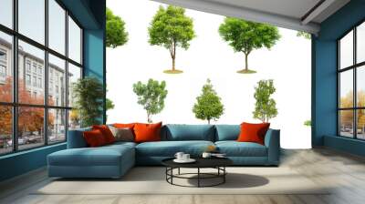 The collection of trees isolated on white background. Beautiful and robust trees are growing in the forest, garden or park. Wall mural