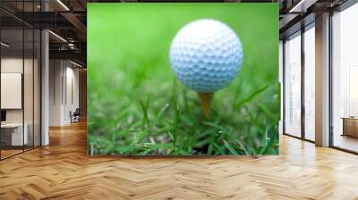 golf ball close-up in soft focus at sunlight with Green grass. wide landscape as background ,Sport playground for golf club concept. Wall mural