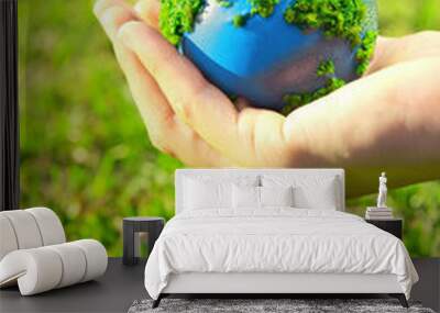 earth in hand Wall mural