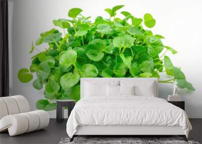 Fresh Watercress Isolated on White Background - Organic Green Food for Healthy Nature Wall mural