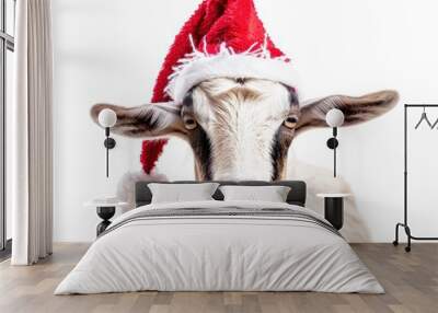 Goat Christmas. Funny Goat Wearing Red Santa Cap, Isolated on White Background Wall mural