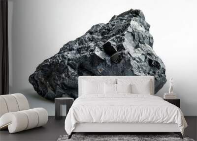 Lava Stone. Close-up View of Black Volcanic Boulder on White Background Wall mural