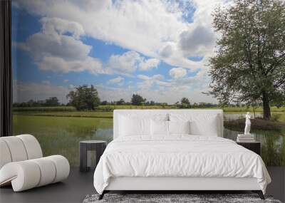 paddy fields countryside Wall mural