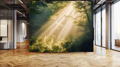 sunlight in the forest Wall mural