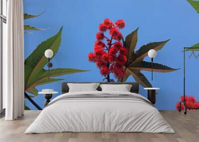 Castor oil plants Wall mural