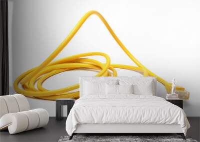 Network ethernet cable with RJ45 connectors Wall mural