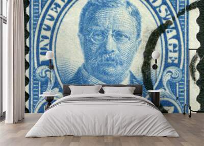 usa - 1920: shows portrait of president theodore roosevelt (1858-1919), 26th president of usa Wall mural