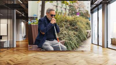 Blind bearded grey-haired mature man with dark eyeglasses on and a suit jacket holding a walking stick and sitting on a bench in the park. High quality photo Wall mural