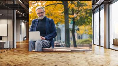 Elegant caucasian gray-haired man working remotely on his white laptop from park bench. Office break. Golden autumn. Sunny weather. Yellow and orange leaves. High quality photo Wall mural