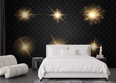 Set. Shining star, the sun particles and sparks with a highlight effect, color bokeh lights glitter and sequins. On a dark background transparent. Vector, EPS10 Wall mural