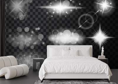 Silver glitter bokeh lights and tinsel. Bright star, solar particles  sparks with glare effect on a transparent background Wall mural