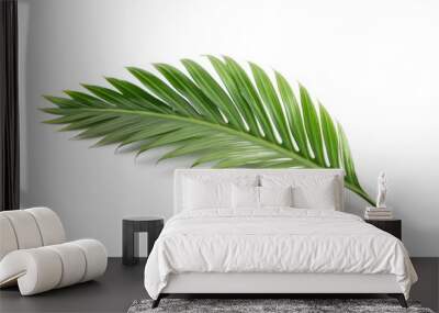 coconut palm leaf isolated Wall mural