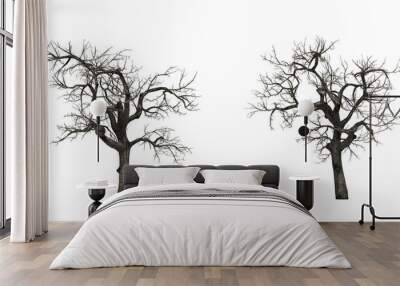 Dead tree branches dried tree isolated Wall mural