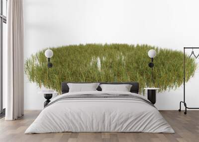 grass field isolated Wall mural