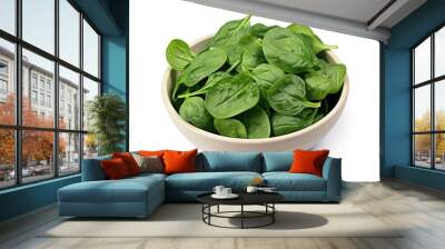 spinach leaves in a bowl Wall mural