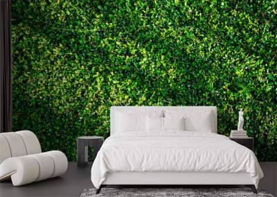 green bush leaf background with light and shade pattern Wall mural