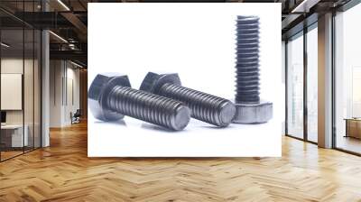 bolt and nut isolated on white background Wall mural