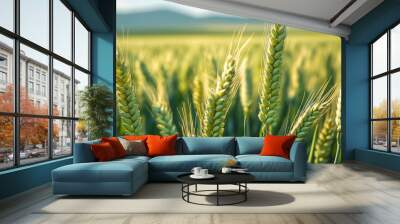 Fields of grain. At this time of the year, the grain is still immature and therefore has a beautiful green colour. Wall mural