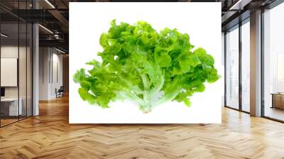 Fresh lettuce leaves isolated on white background Wall mural