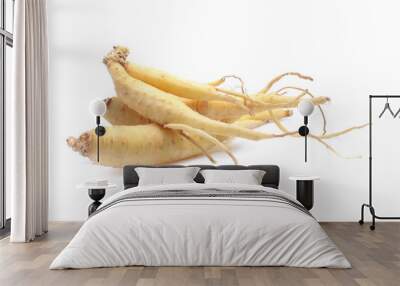 Ginseng isolated on the white background Wall mural