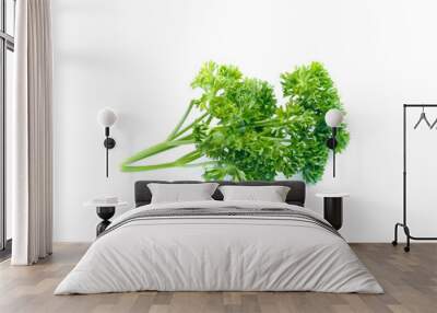 parsley isolated on white background Wall mural