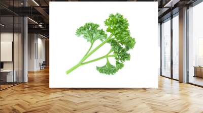 Parsley isolated on white background Wall mural