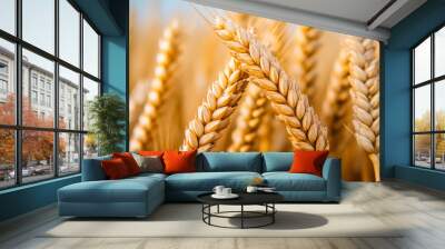 Wheat field with the sun. Golden wheat ears close-up. A fresh crop of rye Wall mural