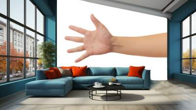 Human hand in reach out one's hand open the palm of the hand and showing 5 fingers gesture isolate on white background with clipping path, High resolution and low contrast for retouch or graphic desig Wall mural