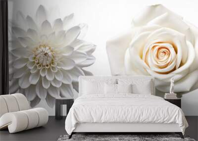 Set of white flowers on isolated background Wall mural