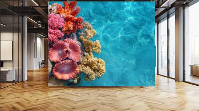 A vibrant coral reef teeming with life in clear blue water. Wall mural