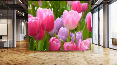 Tulips Wall mural