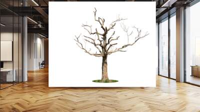 Dry branch of big dead tree with cracked dark bark stem. Beautiful old tree isolated on white background. Single old and dead tree on nature. Alone wooden trunk forest in fall season change Wall mural