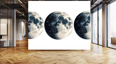 Full moon phases vector design set,This image is an image of the changing process of the moon,Moon phases banner,Symbol of Earth natural cycle,Astronomy and astrology,planets,blue moon,copy space. Wall mural